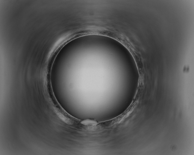 X0000101140101200807071135