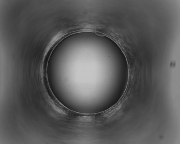 X0000101140102200807071135