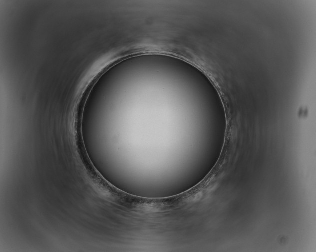 X0000101140103200807071135