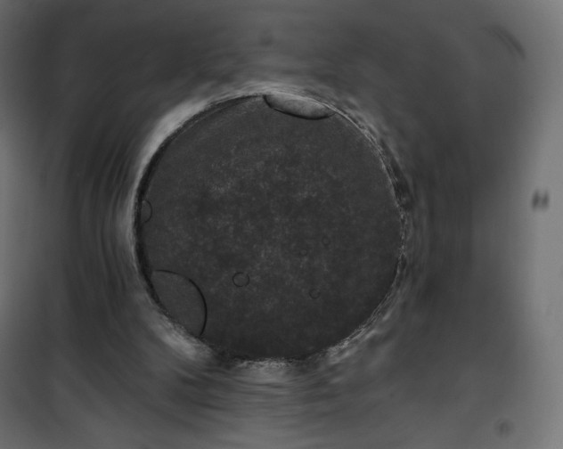 X0000101140104200807071135