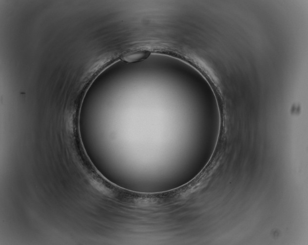 X0000101140105200807071135