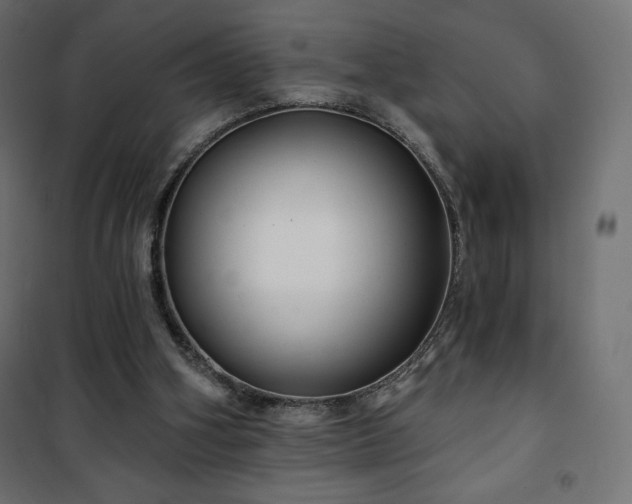 X0000101140106200807071135