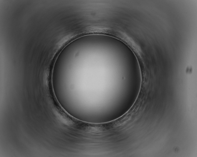 X0000101140107200807071135