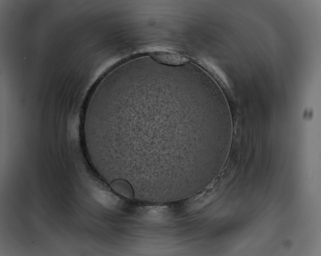 X0000101140108200807071135