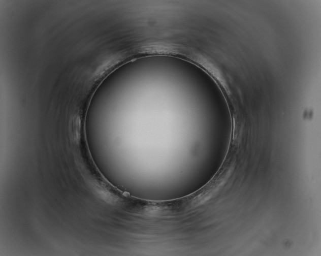 X0000101140109200807071135