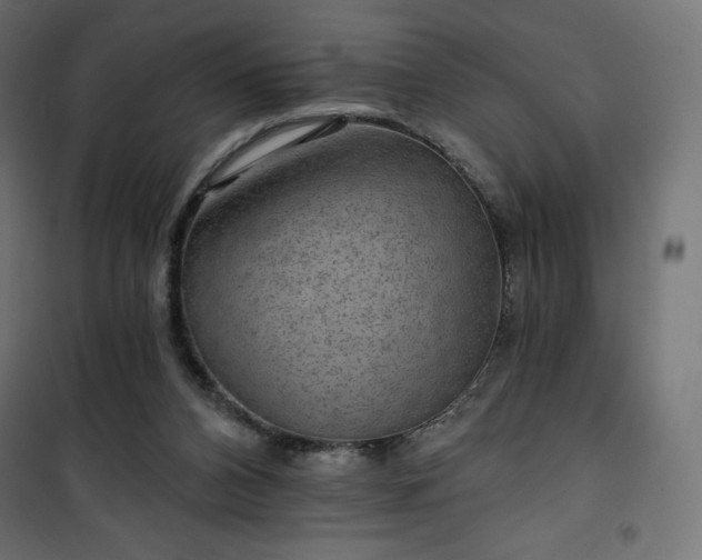 X0000101140112200807071135