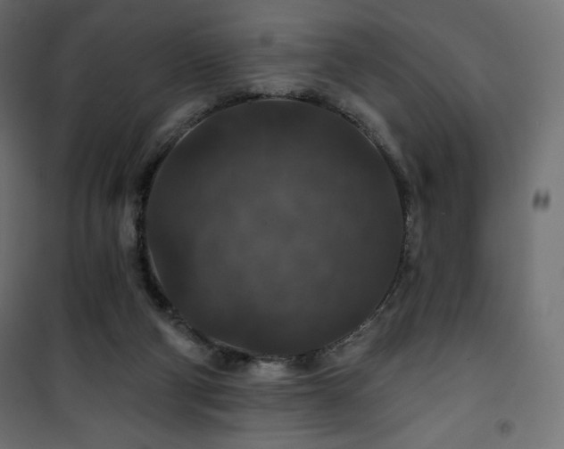 X0000101140114200807071135