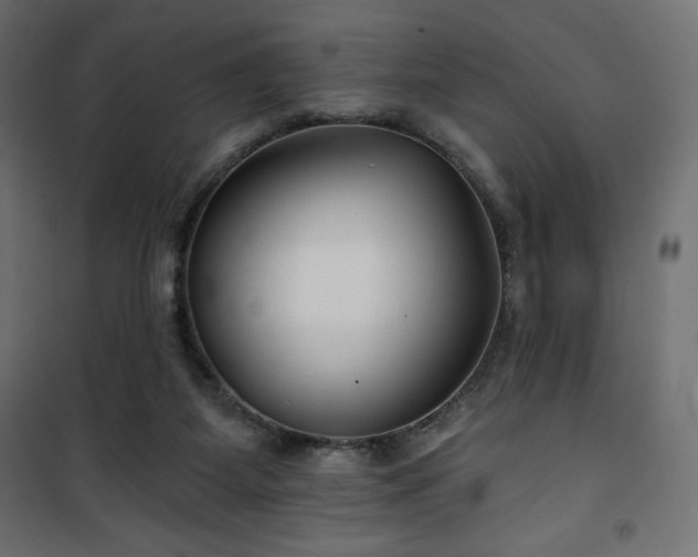 X0000101140115200807071135