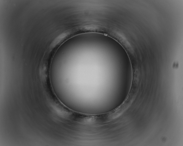 X0000101140116200807071135