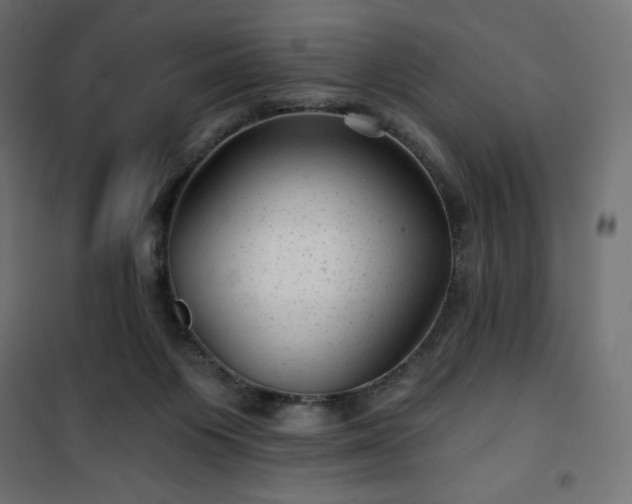 X0000101140119200807071135