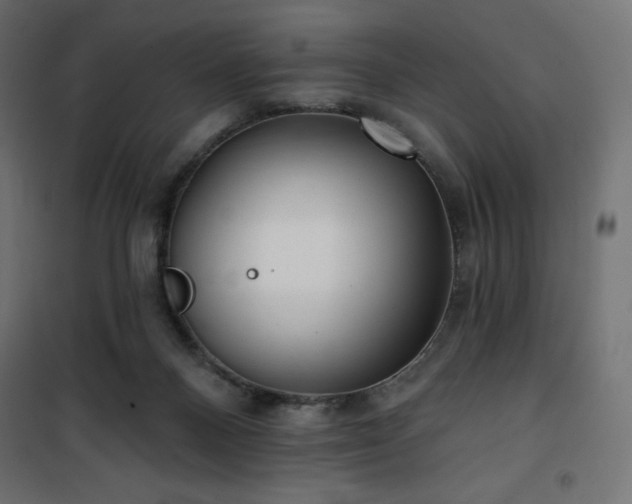 X0000101140120200807071135