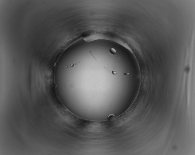 X0000101140123200807071135