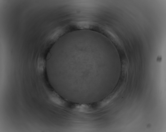 X0000101140125200807071135