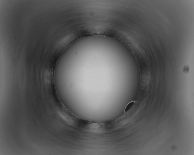 X0000101140126200807071135