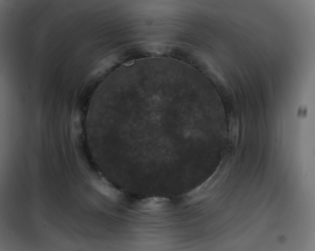 X0000101140128200807071135