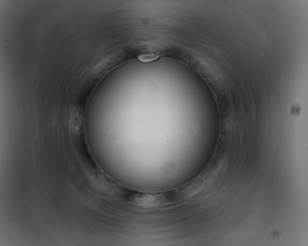 X0000101140129200807071135