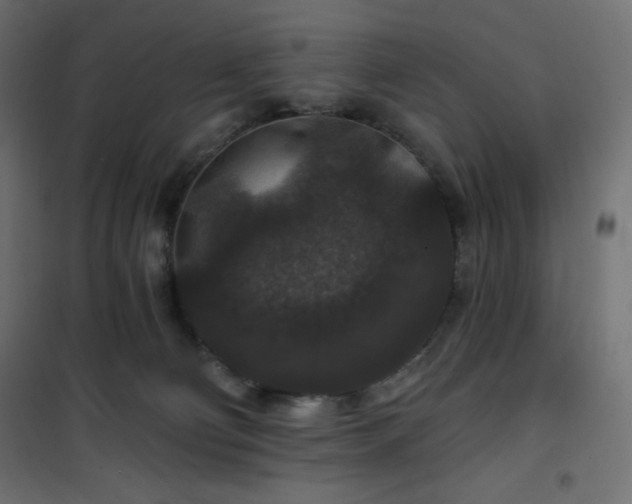 X0000101140130200807071135