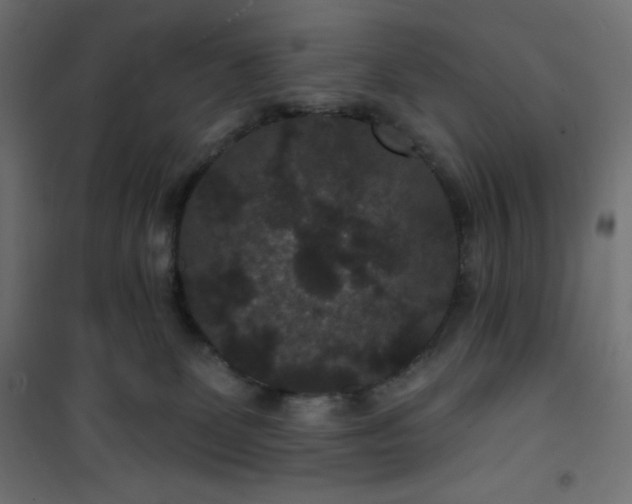 X0000101140131200807071135