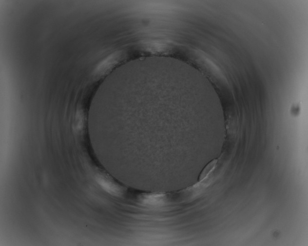 X0000101140132200807071135