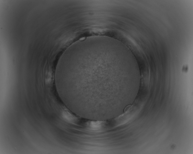 X0000101140134200807071134