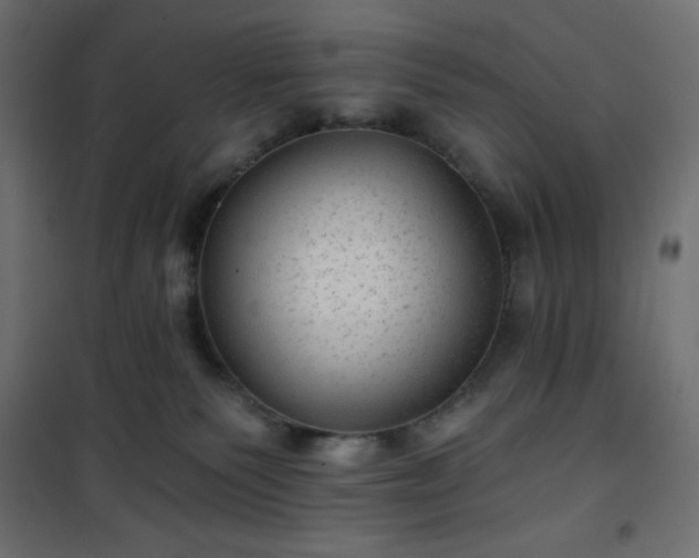 X0000101140135200807071134