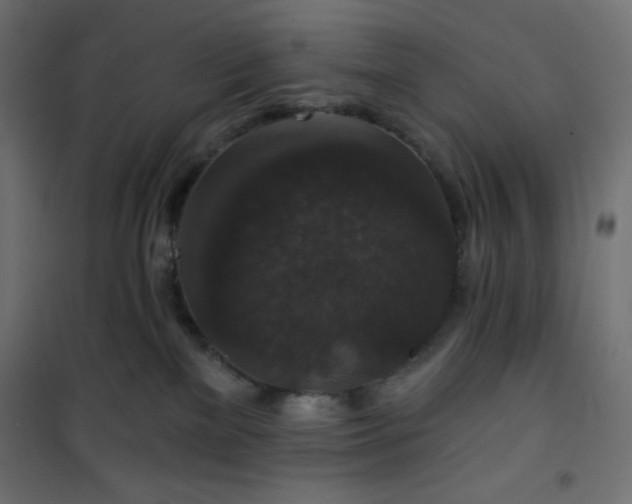 X0000101140137200807071134