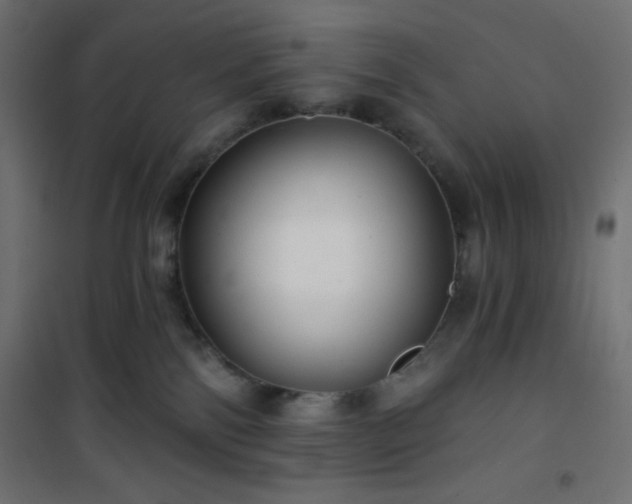 X0000101140138200807071134