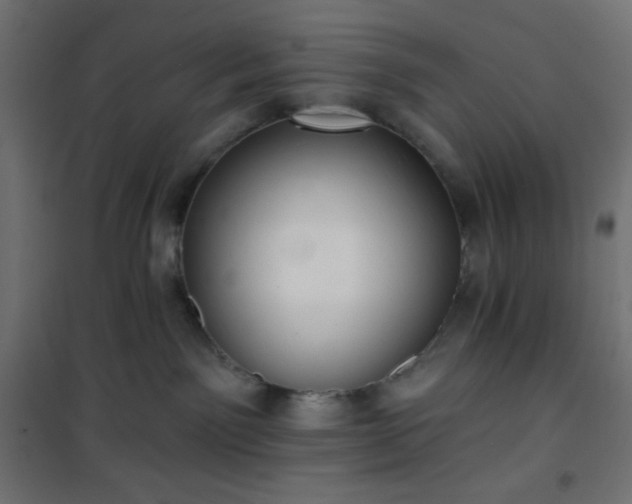 X0000101140141200807071134