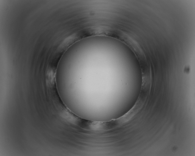 X0000101140142200807071134