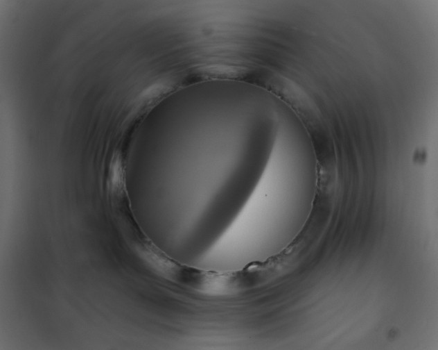 X0000101140143200807071134