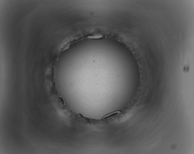 X0000101140144200807071134