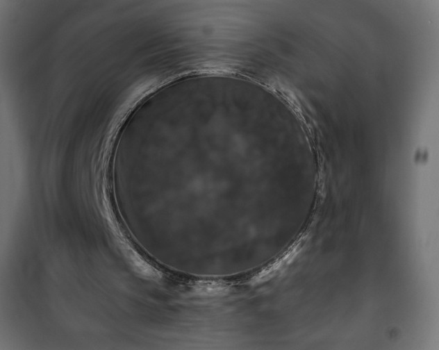 X0000101140145200807071134