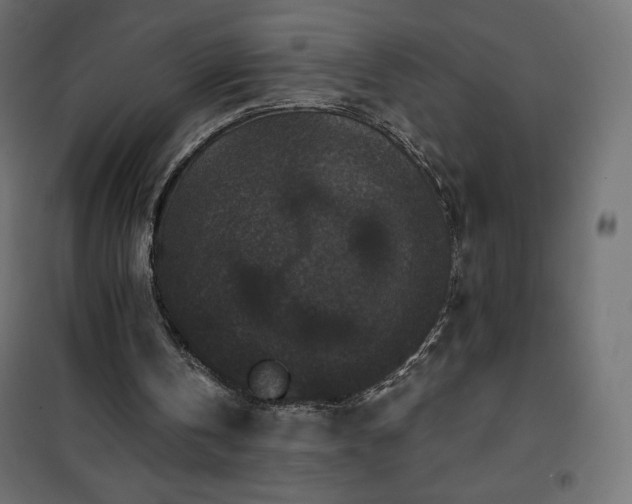 X0000101140146200807071134