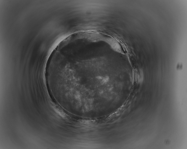 X0000101140147200807071134