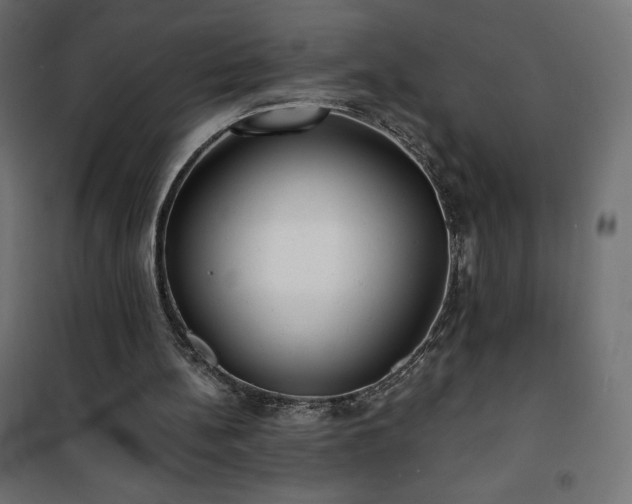 X0000101140148200807071134