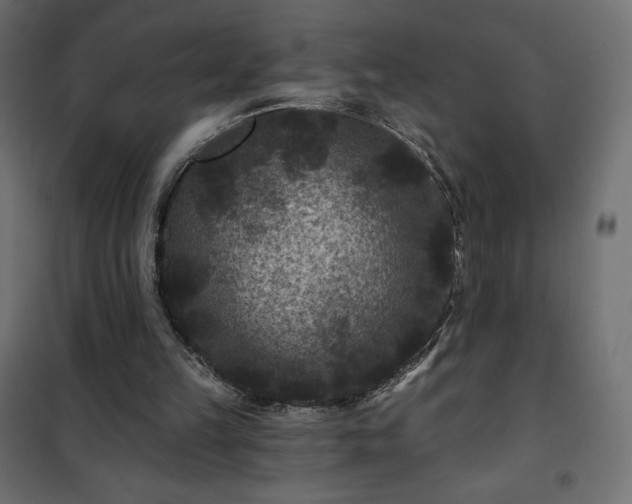 X0000101140149200807071134