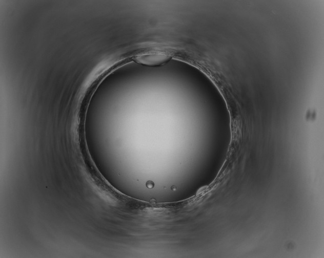 X0000101140150200807071134