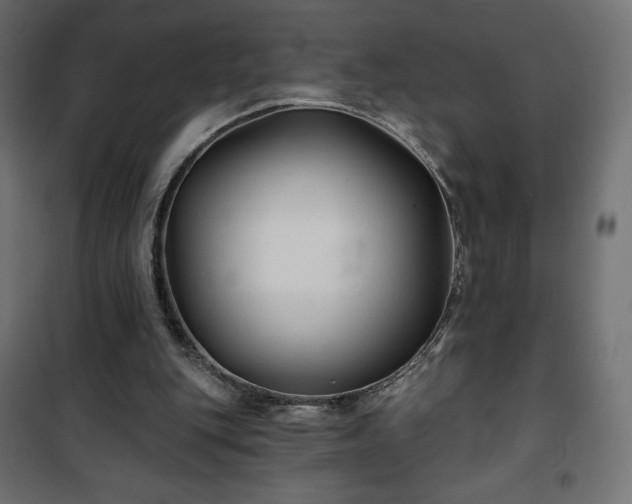 X0000101140151200807071134