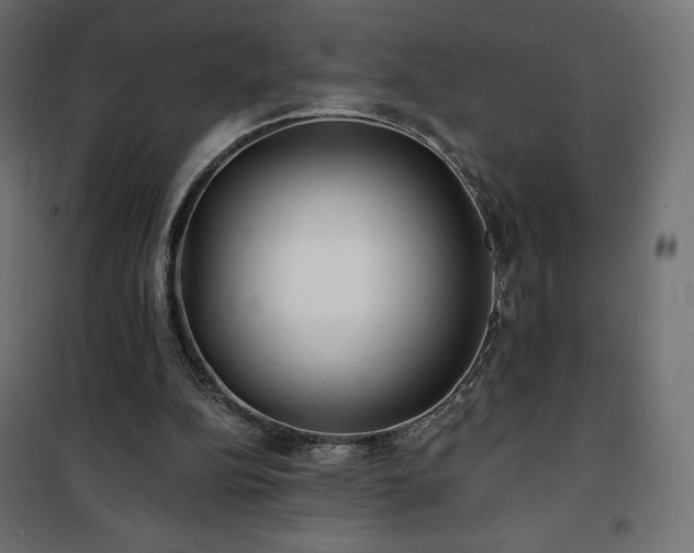 X0000101140152200807071134