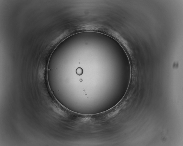 X0000101140153200807071134