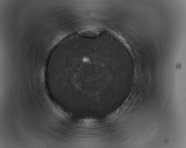 X0000101140154200807071134