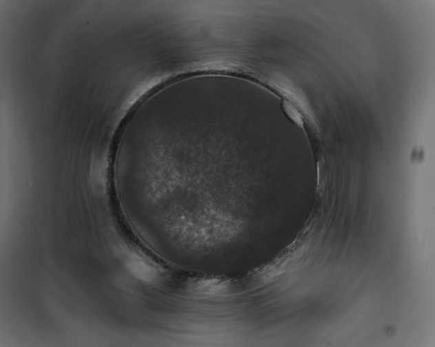 X0000101140156200807071134