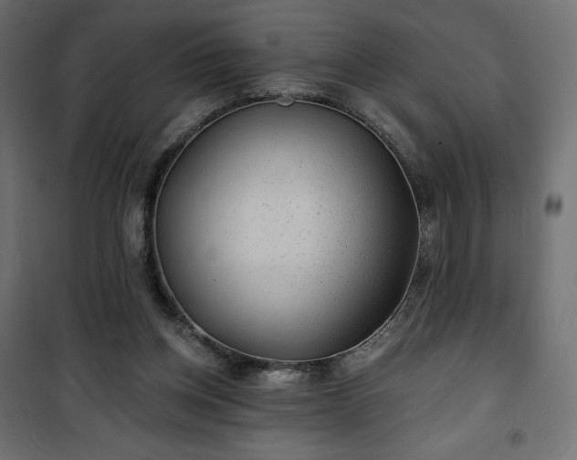 X0000101140158200807071134