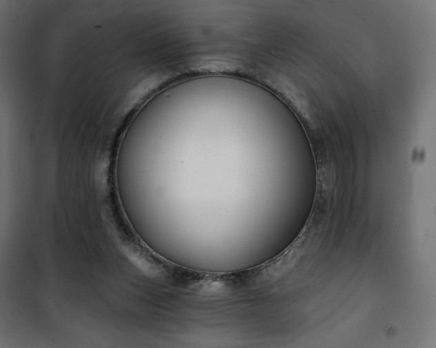 X0000101140159200807071134