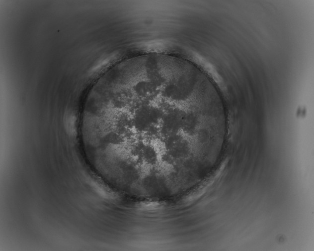 X0000101140161200807071134