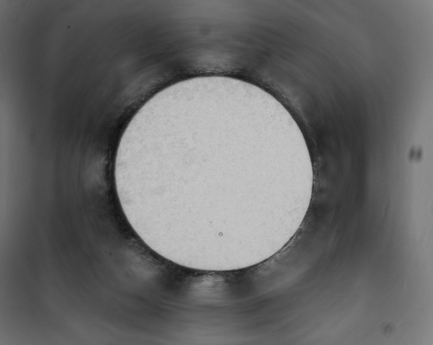 X0000101140162200807071134