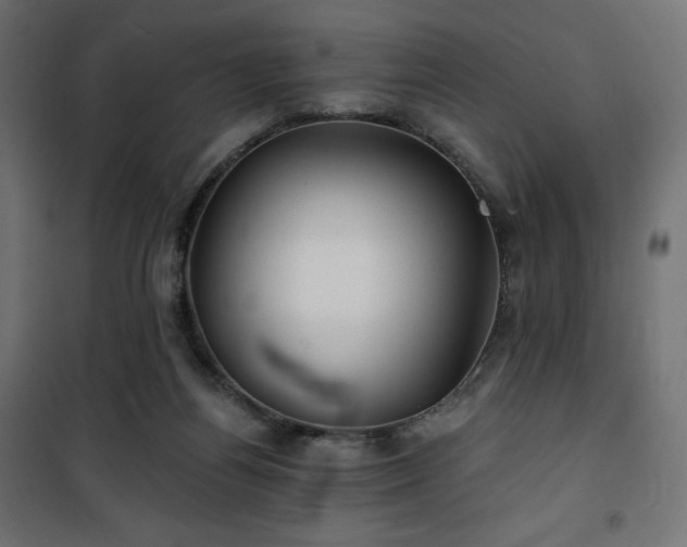 X0000101140164200807071134