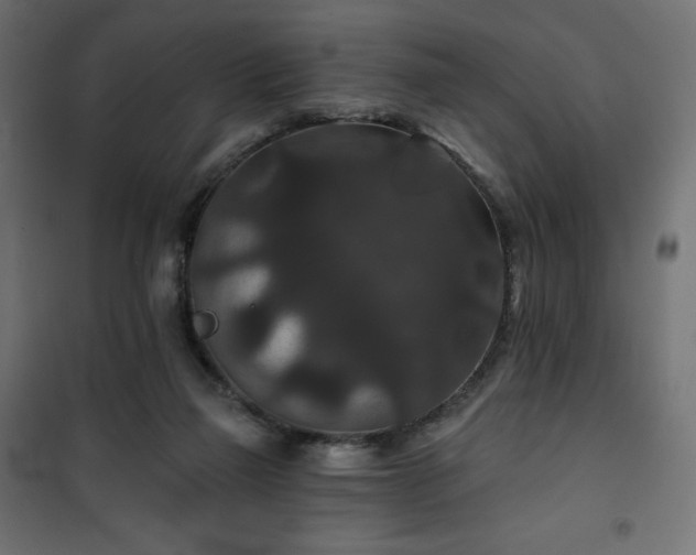 X0000101140165200807071134