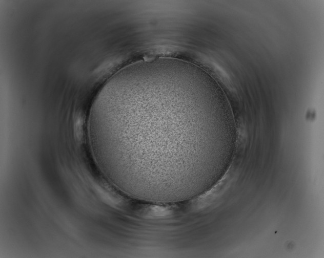 X0000101140166200807071134