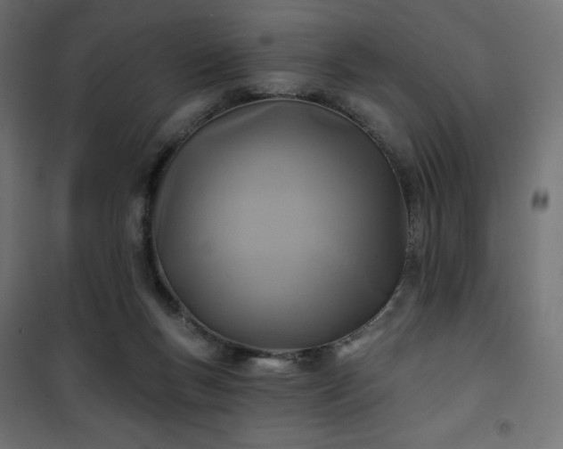 X0000101140167200807071134